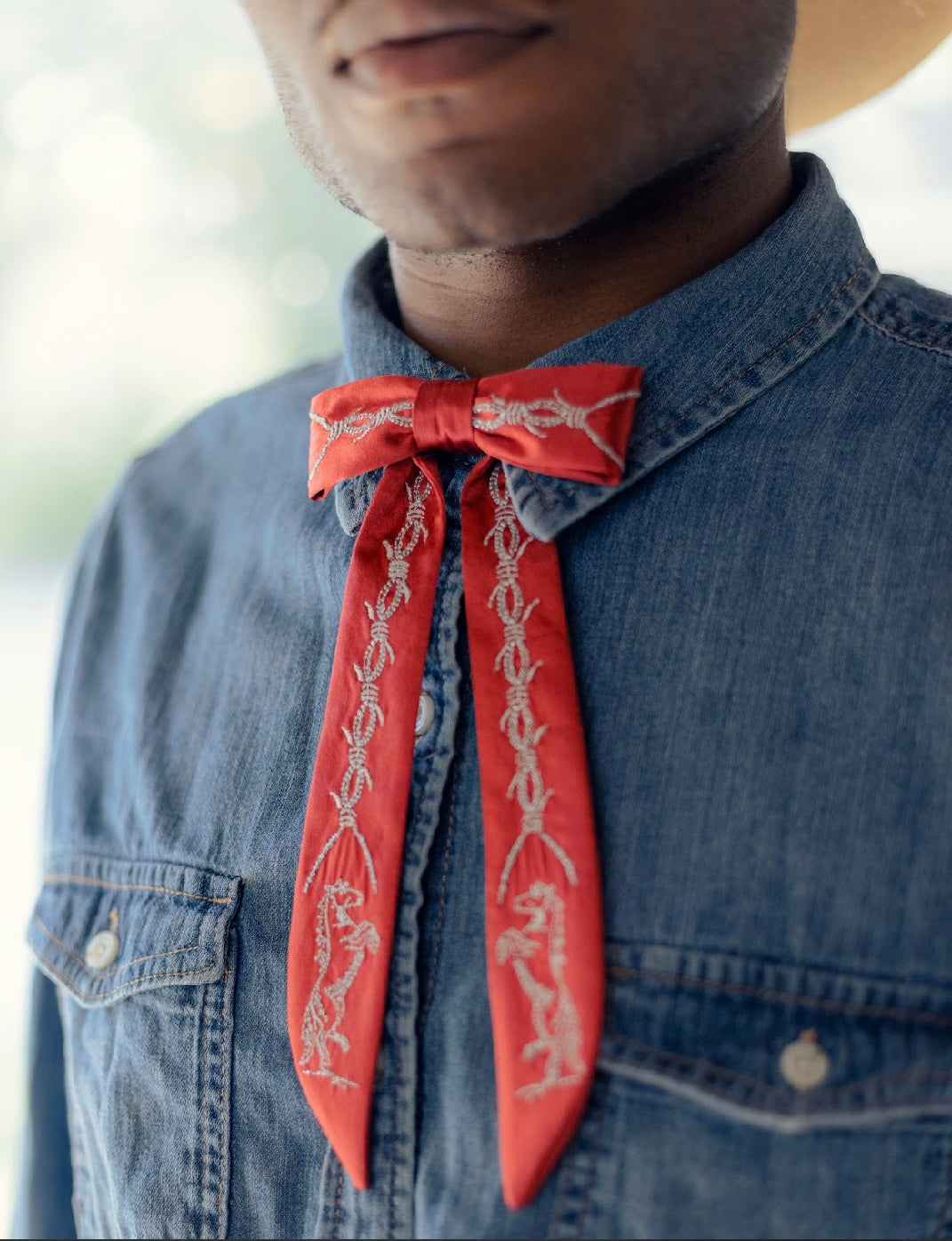 Rodeo Classics silk ties