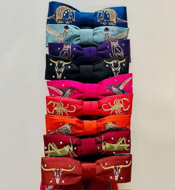 Southwest Desert Silk Ties